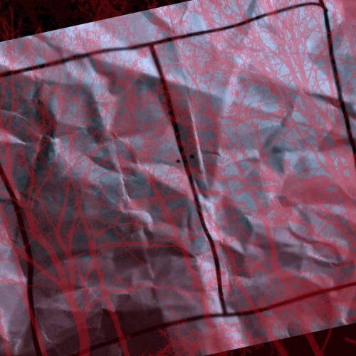 5pD0PJzA